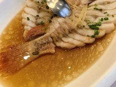 -骏莱海鲜鱼港(五角场店)