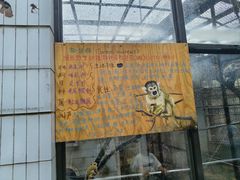 -昆明动物园