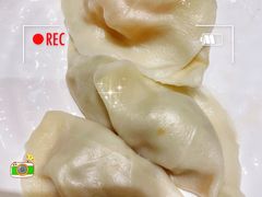扁豆猪肉水饺-一轩饺子馆(丽都店)