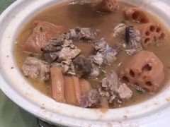 -刘胖子家常菜·蹄花焖藕(中南店)