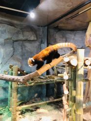 -Zoolung Zoolung动物主题公园(海信广场店)