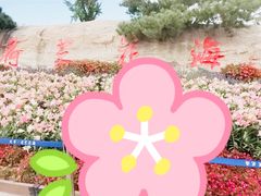 -荷兰花海