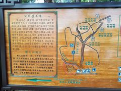 -帽儿山国家森林公园