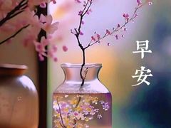 -梅州天地人花园酒店(梅县人民广场店)