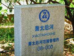 -马家湾湿地公园