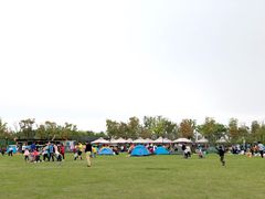 -春花秋色城市公园