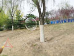 -永定河休闲森林公园