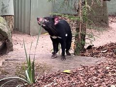 -费瑟代尔野生动物园