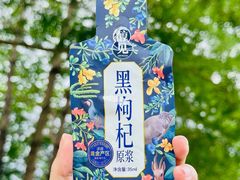-深圳龙潭公园