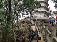 -深圳国际园林花卉博览园