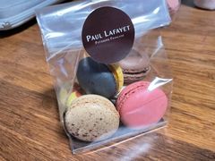 -PAUL LAFAYET 法式甜品(港汇广场店)