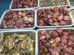 -大锅强·蒸海鲜青岛菜(吾悦广场店)