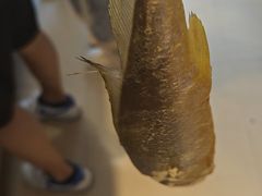 -江南村海鲜馆(洞头店)