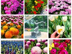 -上海鲜花港