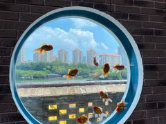 -珠海圆明新园