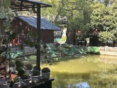 -天怡·鱼工厂(梅溪湖店)