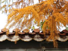 -南岳衡山风景名胜区-南岳大庙