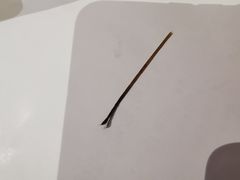 蔬菜里的异物-咖啡之翼(奥特莱斯店)