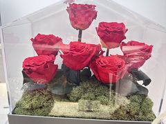 -ROSEONLY诺誓(广州K11店)