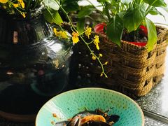 香烤青口贝-Apollo·西班牙小酒馆(安福路店)
