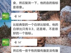 -艾吉宠物医院·疑难杂症转诊中心·猫友好(碧江路院)
