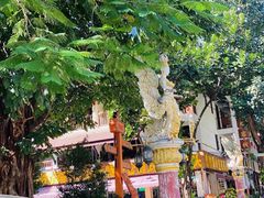 -西双版纳原始森林公园