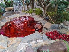 -湖泉半山温泉(湖泉生态园)