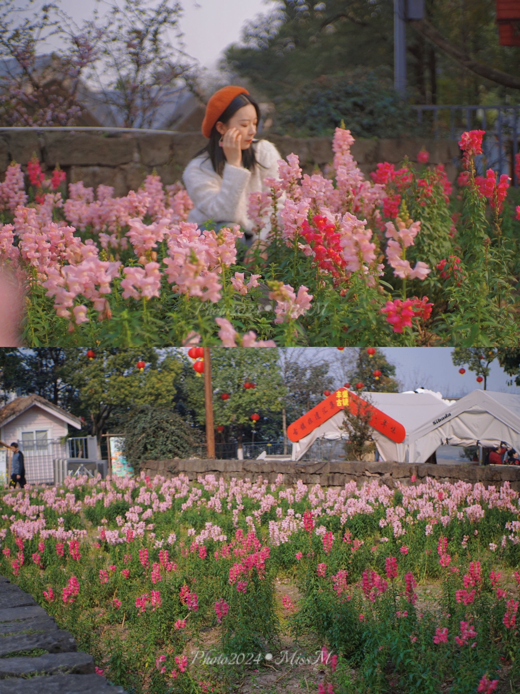 熊婆婆的花园重庆图片