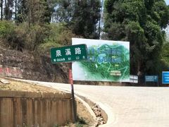 -长虫山生态公园风景林