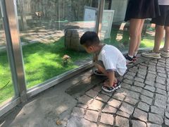 -成都欢乐谷