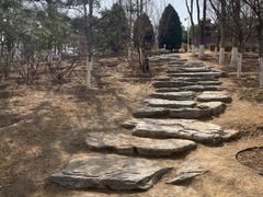 -燕郊植物园