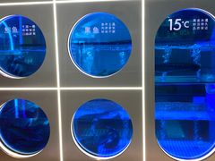 -鱼酷活鱼烤鱼(恒隆广场店)