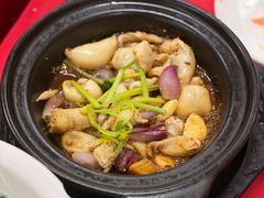 砂锅鱼泡-蛇口康乐快餐鱼仔档(翠苑小区店)