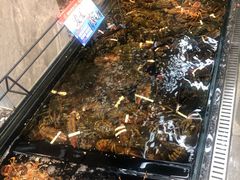 -海鲜e族(马王堆店)