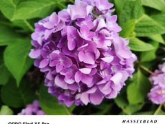 -修脚房(东洪广厦店)