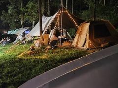 -武陵山森林公园