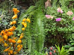 -颐而康·按摩·艾灸·足疗(汽车东站店)