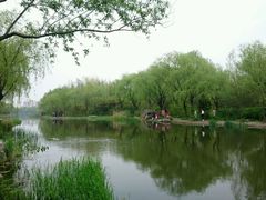 -新江湾城公园