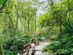 -西岭雪山大飞水景区