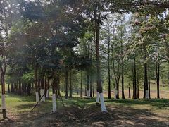-松山湖南湖湾露营营地