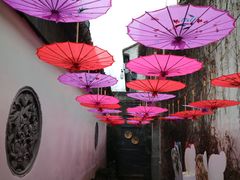 大堂-鱼食饭稻·苏浙土菜17年老馆子(平江路店)