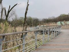 -西湖风景区-江洋畈生态公园