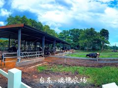 -瑞穗牧场
