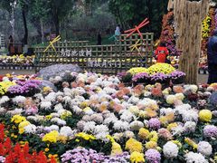 -富乐山