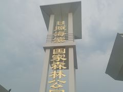 -日照海滨国家森林公园