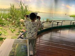 -同里国家湿地公园