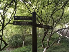 -南山植物园