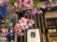 -东京都浅草樱花和服租赁店