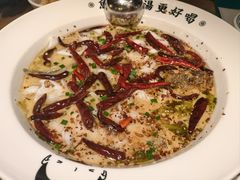 -首秀·四川料理(星耀101店)