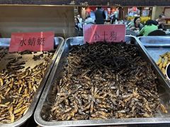 -昆虫窝子·特色云南菜(拓东路总店)